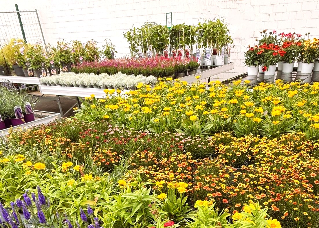 Monheimer Blumenmarkt